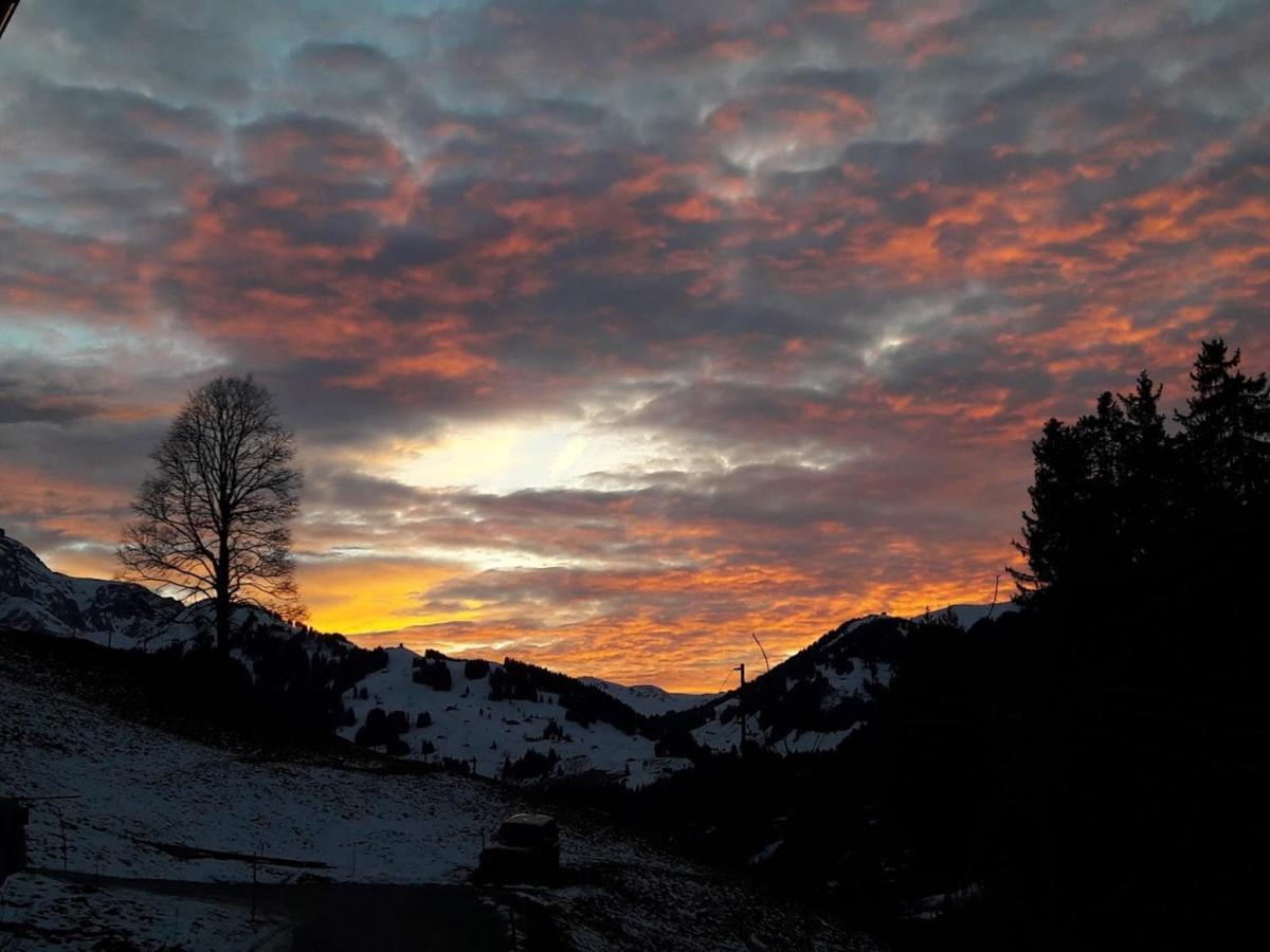 Ferien In Der Bergwelt Von Adelboden Bed & Breakfast Dış mekan fotoğraf