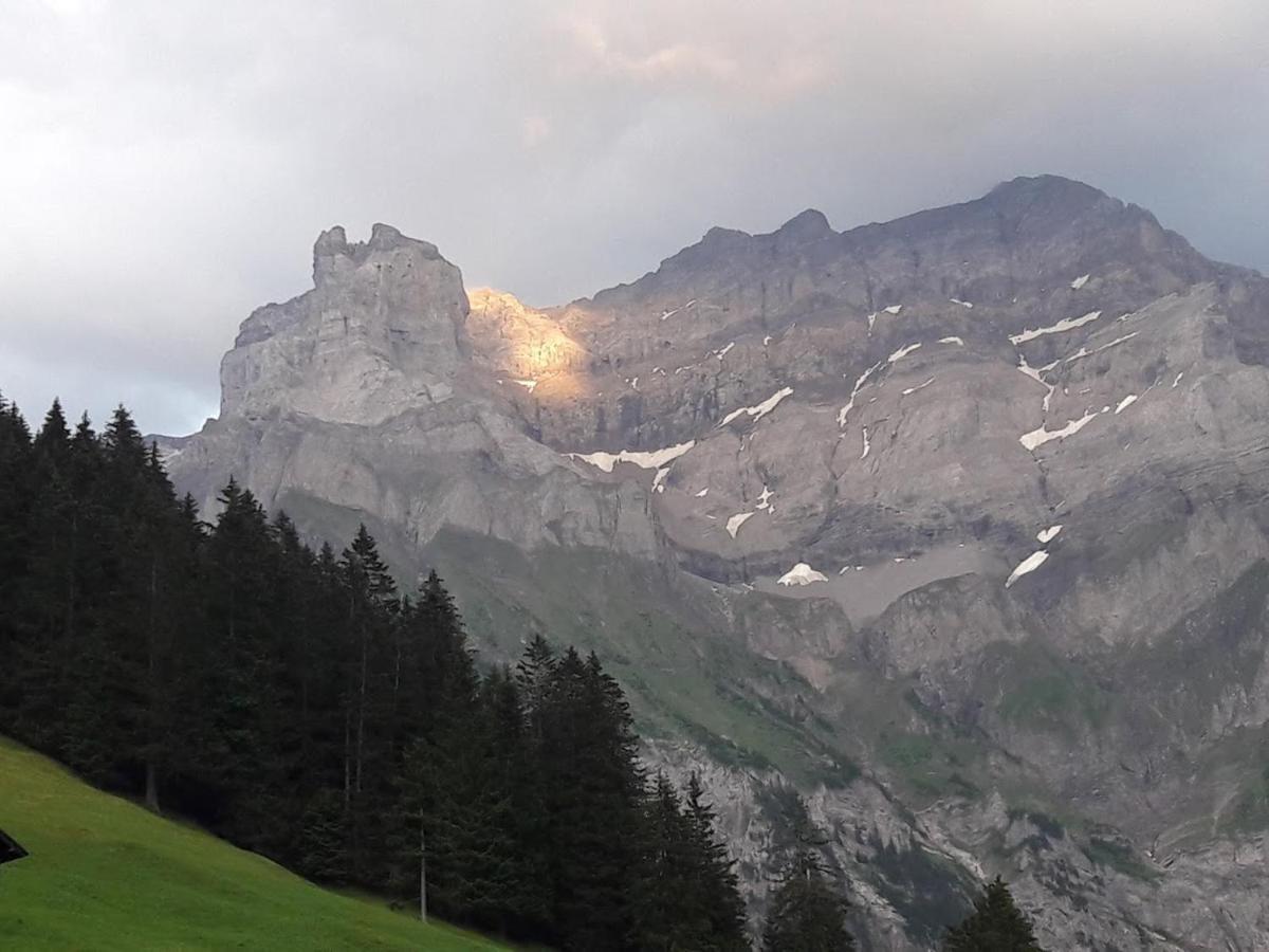 Ferien In Der Bergwelt Von Adelboden Bed & Breakfast Dış mekan fotoğraf